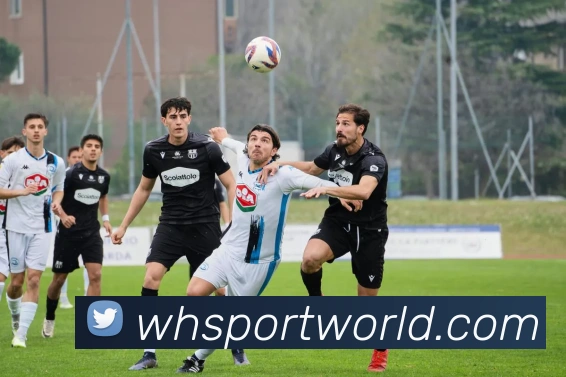 威廉希尔体育APP 体育赛事宣传图